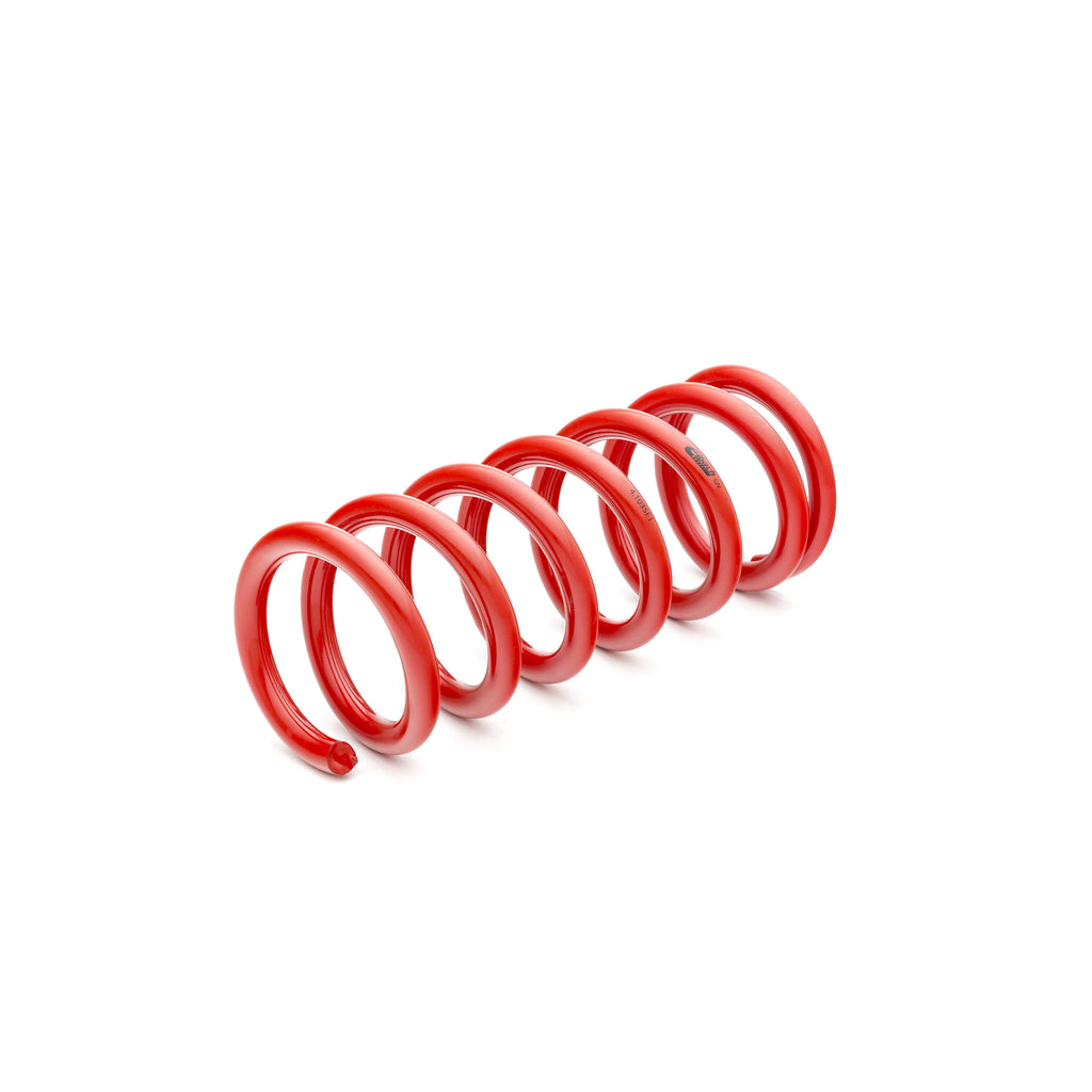 Lowering-Kit-1994-2004-Ford-Mustang-Mustang-Coupe;-V8-Engine;-2-Inch-Front-Lowering-And-1.8-Inch-Rear-Lowering;-Sportline-Lowering-Kit