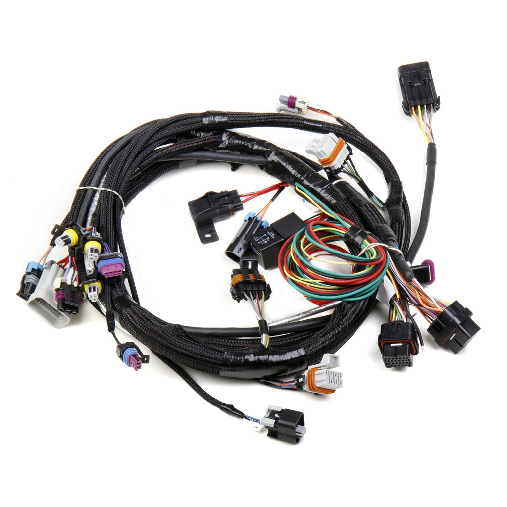 Ls16-(24X1X)-Engine-Main-Harness