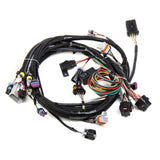 Holley 558-102 LS1/6 (24x/1x) Engine Main Harness