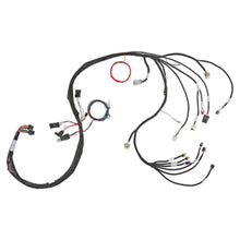 Load image into Gallery viewer, Ls237-(58X4X)-Engine-Main-Harness-Extended-Length