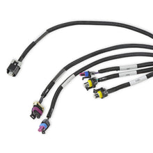 Load image into Gallery viewer, Ls237-(58X4X)-Engine-Main-Harness-Extended-Length