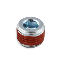 Load image into Gallery viewer, Lts-18-Npt-Plug-WSealant---3-Pack
