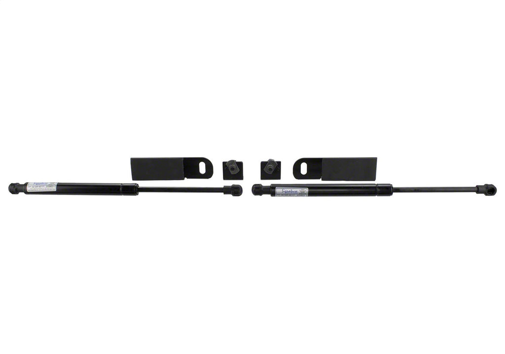 Ford Performance Parts M-16826-GT350 Hood Strut Kit for Select Ford Mustang