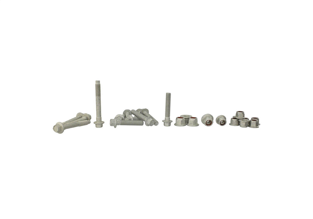 Ford Performance Parts M-18000-A 2005-2014 Mustang Fastback Dynamic Strut/Shock Kit for Select Ford Mustang