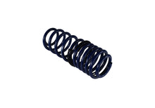 Load image into Gallery viewer, Ford Performance Parts M-5300-KA 2005-2014 Mustang GT Street Lowering Springs for Select Ford Mustang
