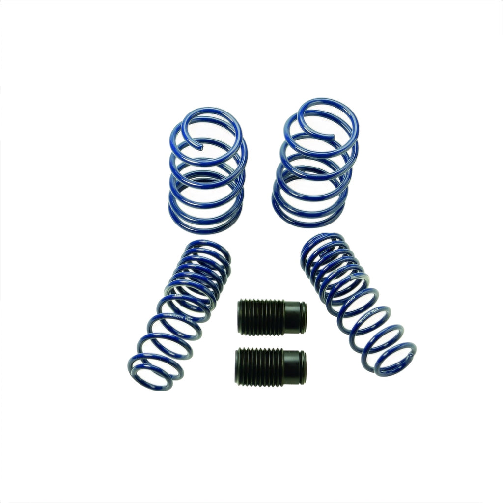 Ford Performance Parts M-5300-KA 2005-2014 Mustang GT Street Lowering Springs for Select Ford Mustang