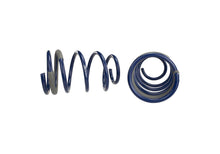 Load image into Gallery viewer, Ford Performance Parts M-5300-PA 2005-2014 Mustang GT Track Lowering Springs for Select Ford Mustang
