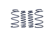 Load image into Gallery viewer, Ford Performance Parts M-5300-RA 2013 Cobra Jet Spring Kit for Select Ford Mustang