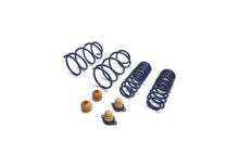 Load image into Gallery viewer, Ford Performance Parts M-5300-T 2012-2013 Boss 302 Lowering Springs for Select Ford Mustang