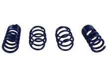 Load image into Gallery viewer, Ford Performance Parts M-5300-W 2015-2020 Mustang GT350 Lowering Springs for Select Ford Mustang