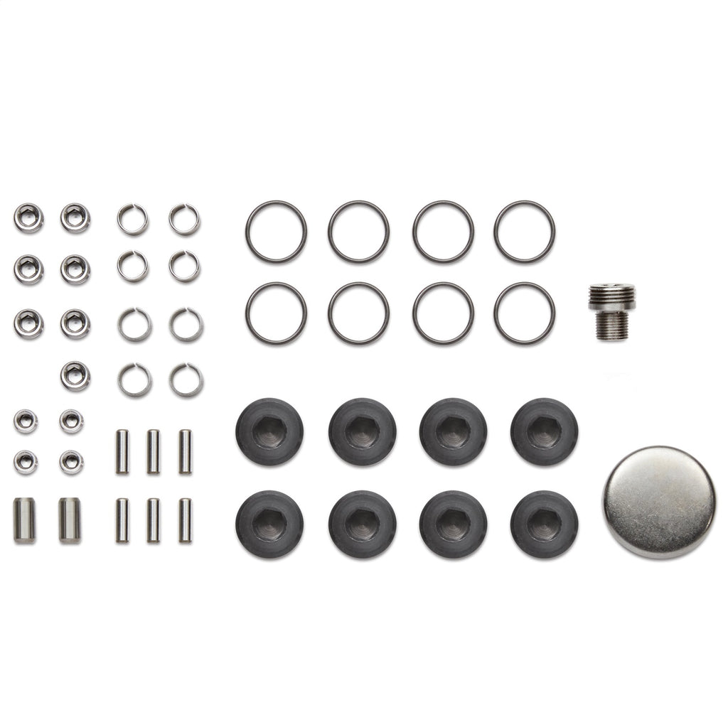 Ford Performance Parts M-6026-A460X Plug And Dowel Kit For A460X Blocks