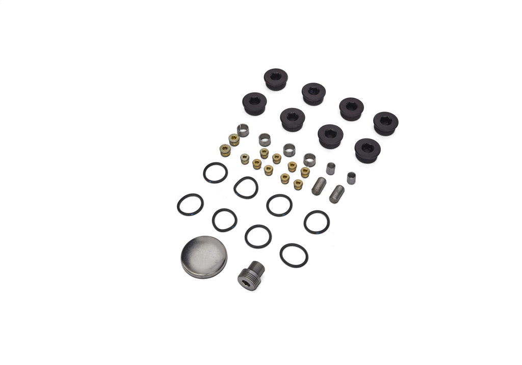 Ford Performance Parts M-6026-BOSS Plug And Dowel Kit For All Boss Blocks for Select Ford Mustang