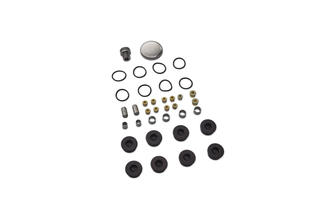 Ford Performance Parts M-6026-BOSS Plug And Dowel Kit For All Boss Blocks for Select Ford Mustang