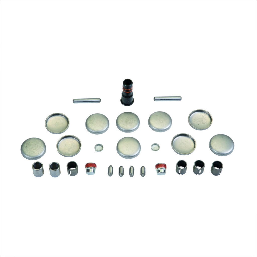 Ford Performance Parts M-6026-CI46 Plug And Dowel Kit