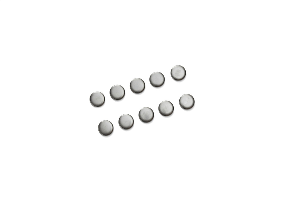 Ford Performance Parts M-6026-S351 Ford Performance Engine Block-Camshaft Plug Kit