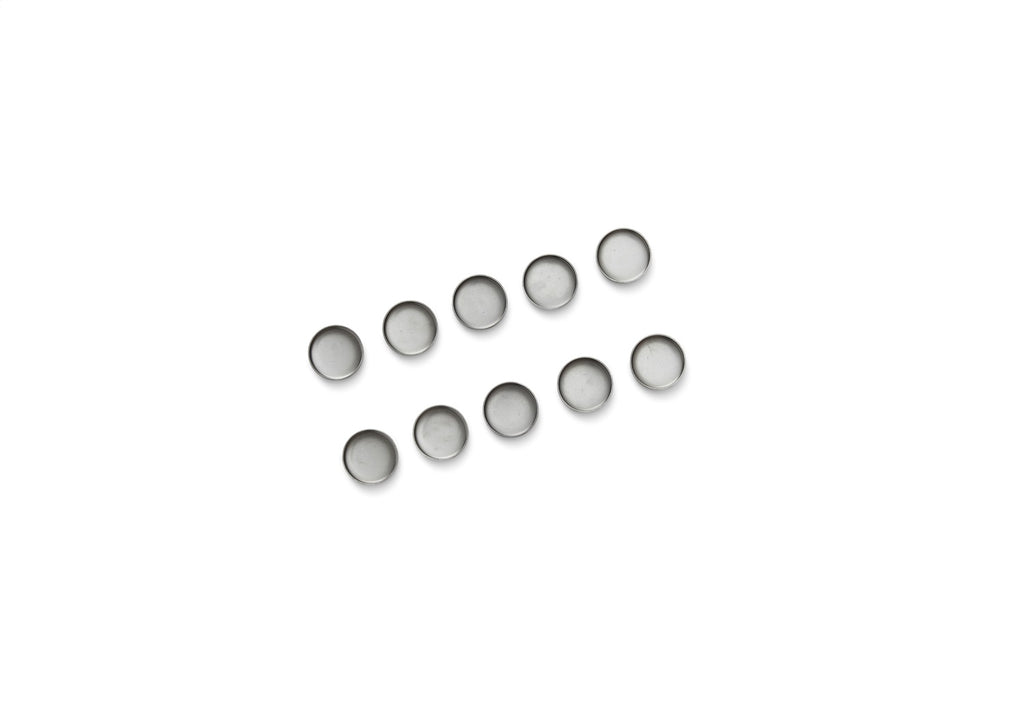Ford Performance Parts M-6026-S351 Ford Performance Engine Block-Camshaft Plug Kit