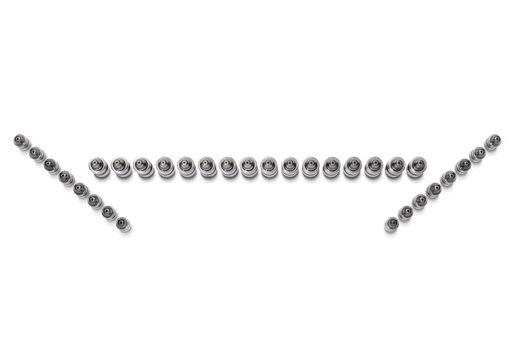 Ford Performance Parts M-6500-GT Ford GT And 5.4L GT500 Lash Adjusters for Select Ford GT, Ford Mustang, Lincoln Blackwood