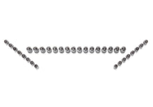 Load image into Gallery viewer, Ford Performance Parts M-6500-GT Ford GT And 5.4L GT500 Lash Adjusters for Select Ford GT, Ford Mustang, Lincoln Blackwood