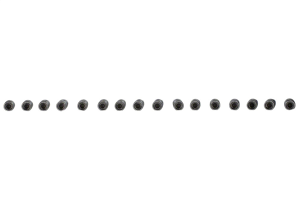 Ford Performance Parts M-6500-R302 Hydraulic Roller Cam Lifters for Select Ford 300, Ford Bronco, Ford Country Sedan, Ford Country Squire, Ford Custom, Ford Custom 500, Ford E-100 Econoline, Ford E-100 Econoline Club Wagon, Ford E-150 Econoline, Ford