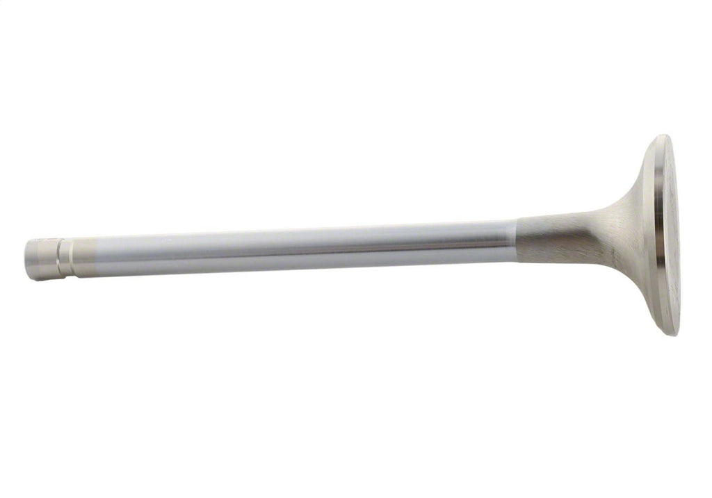 Ford Performance Parts M-6505-B304 Exhaust Valve 302/351W