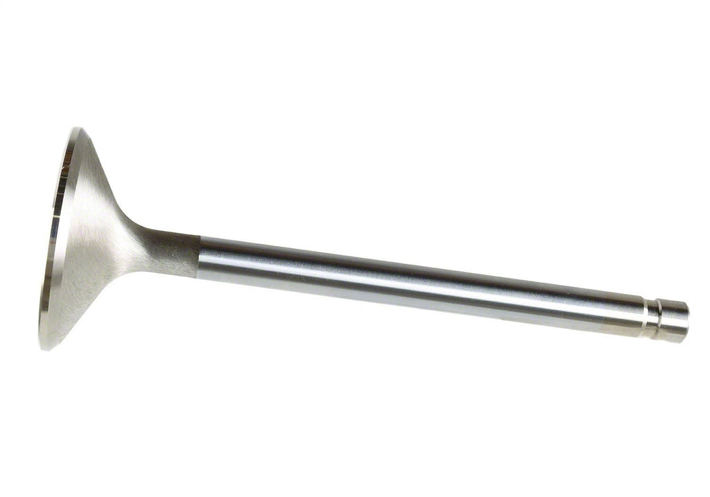 Ford Performance Parts M-6505-B304 Exhaust Valve 302/351W
