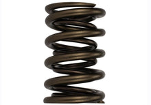 Load image into Gallery viewer, Ford Performance Parts M-6513-17341 TVS-1734 Valve Spring (1)