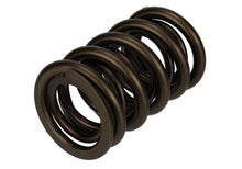 Load image into Gallery viewer, Ford Performance Parts M-6513-17341 TVS-1734 Valve Spring (1)