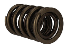 Load image into Gallery viewer, Ford Performance Parts M-6513-17341 TVS-1734 Valve Spring (1)
