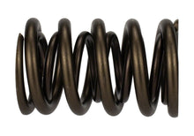 Load image into Gallery viewer, Ford Performance Parts M-6513-17341 TVS-1734 Valve Spring (1)