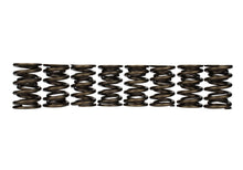 Load image into Gallery viewer, Ford Performance Parts M-6513-17348 Set of 8 TVS-1734 Valve Springs