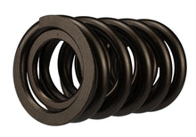 Load image into Gallery viewer, Ford Performance Parts M-6513-17348 Set of 8 TVS-1734 Valve Springs