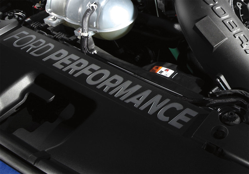 Ford Performance Parts M-8291-FP 2015-2017 Mustang Ford Performance Radiator Cover for Select Ford Mustang