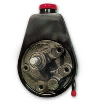 Load image into Gallery viewer, MARCH PERFORMANCE P300 GM Canister Style Power Steering Pump