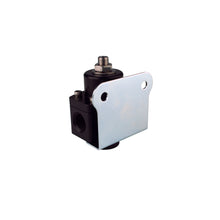 Load image into Gallery viewer, Marine-Carbureted-Adjustable-Regulator,-38-Npt