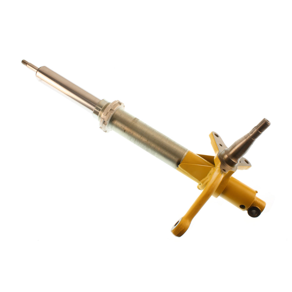 Motorsports---Suspension-Strut-Assembly