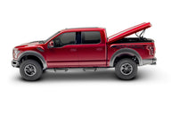 Load image into Gallery viewer, N-Fab PRF1590CC-TX Predator Pro-Cab Len (2 Steps)-15-24 F150/17-24 Raptor SuperCrew-TX Blk for Select Ford F-150, Ford F-150 Lightning