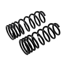 Load image into Gallery viewer, -Ome-Coil-Spring-Rear-100-Ifs-Hd