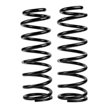 Load image into Gallery viewer, -Ome-Coil-Spring-Rear-4In80105-Cnstnt-200Kg