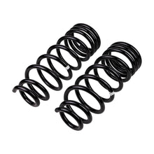 Load image into Gallery viewer, -Ome-Coil-Spring-Rear-Everest