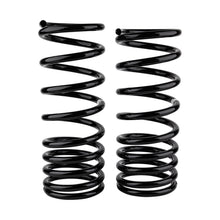 Load image into Gallery viewer, -Ome-Coil-Spring-Rear-Gu-Low