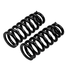 Load image into Gallery viewer, -Ome-Coil-Spring-Rear-LR-Disco-Iii-2005On