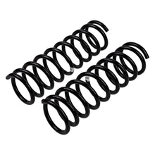 Load image into Gallery viewer, -Ome-Coil-Spring-Rear-Lada-Niva