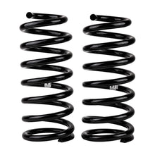 Load image into Gallery viewer, -Ome-Coil-Spring-Rear-Lc-200-Ser