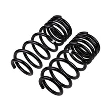 Load image into Gallery viewer, -Ome-Coil-Spring-Rear-Lc-200-Ser
