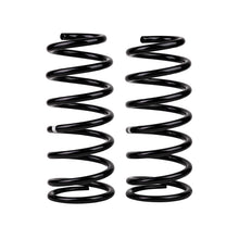 Load image into Gallery viewer, -Ome-Coil-Spring-Rear-Lc-200-Ser