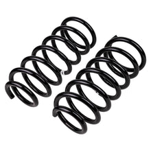 Load image into Gallery viewer, -Ome-Coil-Spring-Rear-Lc-200-Ser