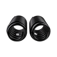 Load image into Gallery viewer, -Ome-Coil-Spring-Rear-Lc-200-Ser