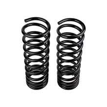 Load image into Gallery viewer, -Ome-Coil-Spring-Rear-Muxmed