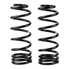 Load image into Gallery viewer, -Ome-Coil-Spring-Rear-Np300-Med