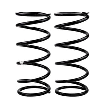 Load image into Gallery viewer, -Ome-Coil-Spring-Rear-PFind-R50